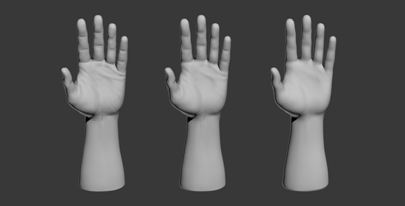 3DOcean 3D Hand Model 9649497 3DOcean 3D Hand Model 9649497