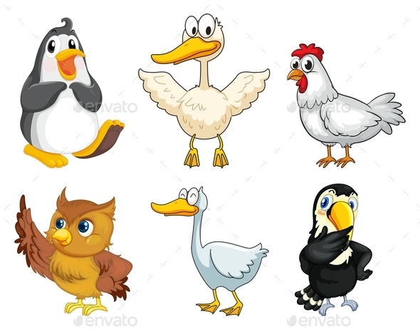 GraphicRiver Six Different Kinds of Birds 9651518 GraphicRiver Six Different Kinds of Birds 9651518
