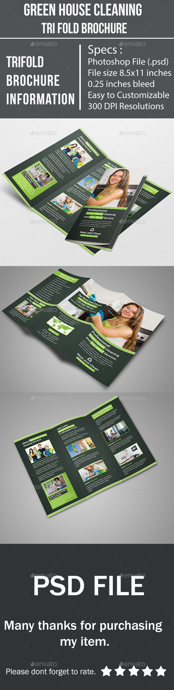 Green House Cleaning Tri Fold Brochure Green House Cleaning Tri Fold Brochure