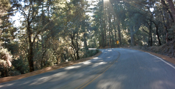VideoHive Driving Through Forrest 2 9661207 VideoHive Driving Through Forrest 2 9661207