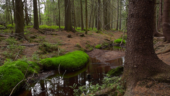 VideoHive River 9667585 VideoHive River 9667585
