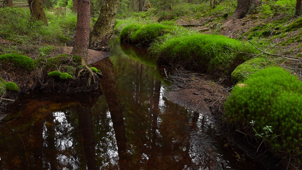 VideoHive River 9667610 VideoHive River 9667610