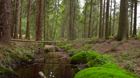 VideoHive River 9667662 VideoHive River 9667662