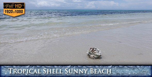 VideoHive Tropical Shell Sunny Beach 9670095 VideoHive Tropical Shell Sunny Beach 9670095