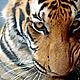 ZaTiger