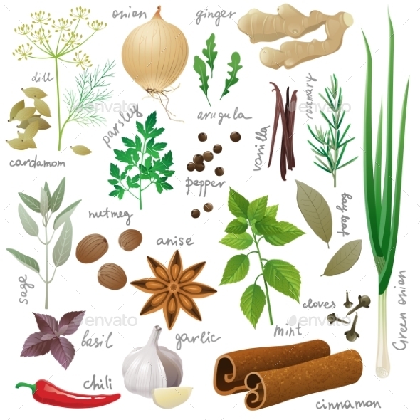 GraphicRiver Herbs and Spices 9675060 GraphicRiver Herbs and Spices 9675060