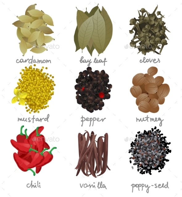 GraphicRiver Different Spices Set 9675124 GraphicRiver Different Spices Set 9675124