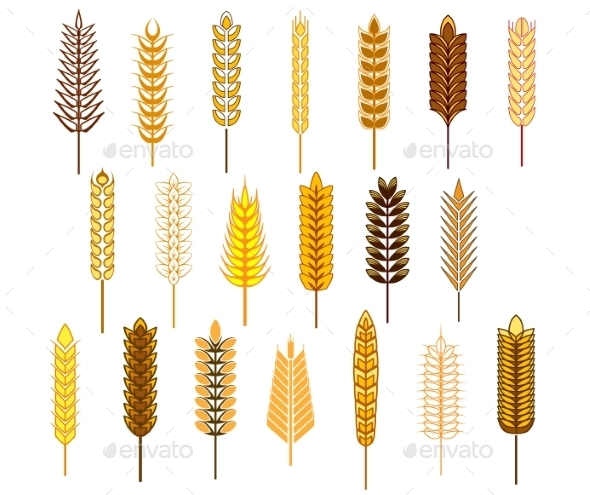 GraphicRiver Ears of Cereals and Grain Icons Set 9677468 GraphicRiver Ears of Cereals and Grain Icons Set 9677468