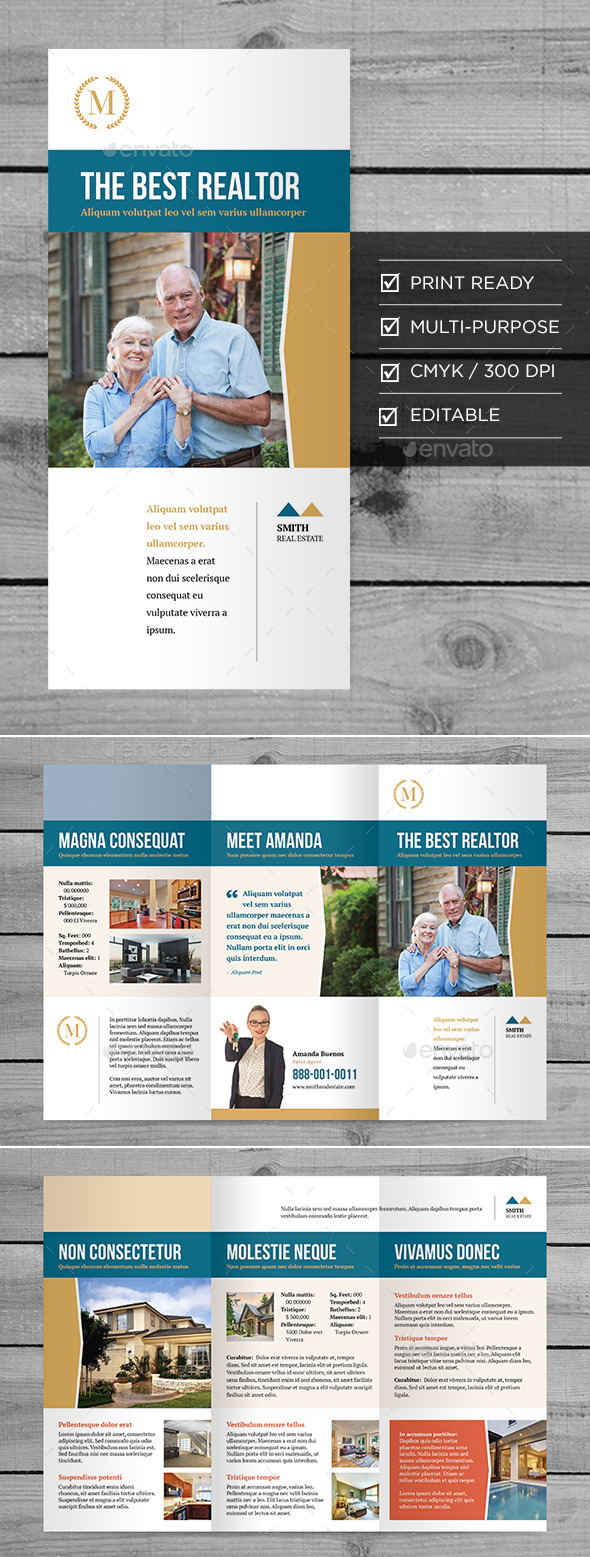 Real Estate Tri-Fold Brochure (Brochures)