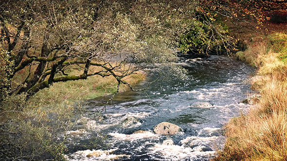 VideoHive River Through Pretty Countryside 9680720 VideoHive River Through Pretty Countryside 9680720