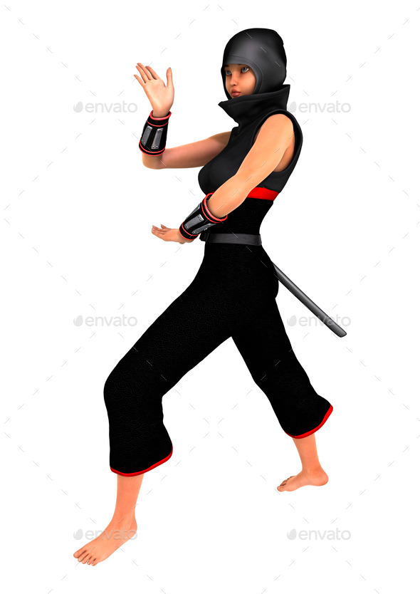 Ninja (Misc) Photo Download