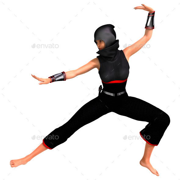 Ninja (Misc) Photo Download