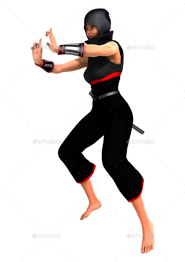 Ninja (Misc) Photo Download