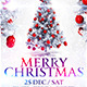 Merry Christmas Flyer Merry Christmas Flyer - GraphicRiver Item for Sale