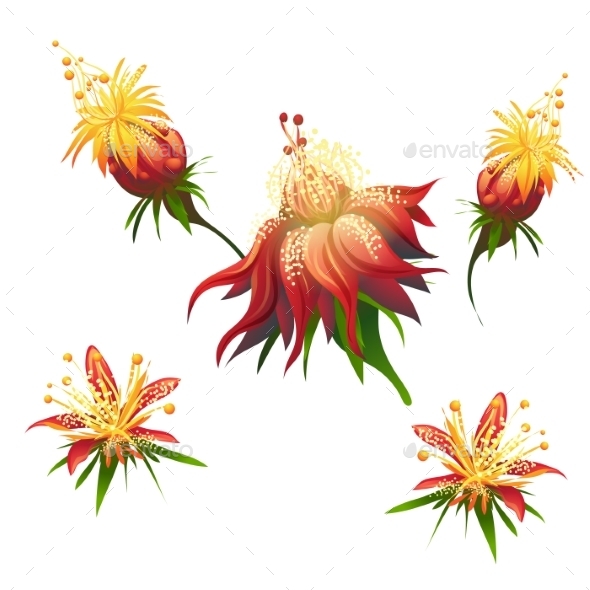 GraphicRiver Jungle Flowers 9685837 GraphicRiver Jungle Flowers 9685837