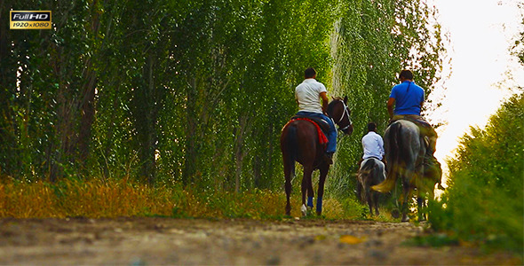 Horseback Riding 5 Horseback Riding 5