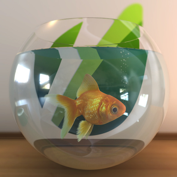 Golden Fish Golden Fish