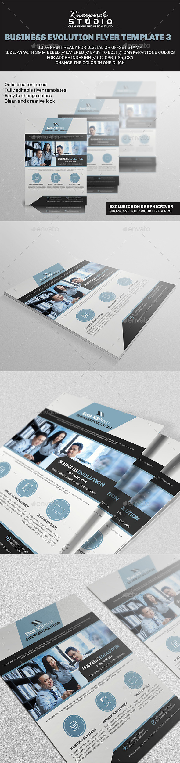 Business Evolution Flyer Template III (Corporate)