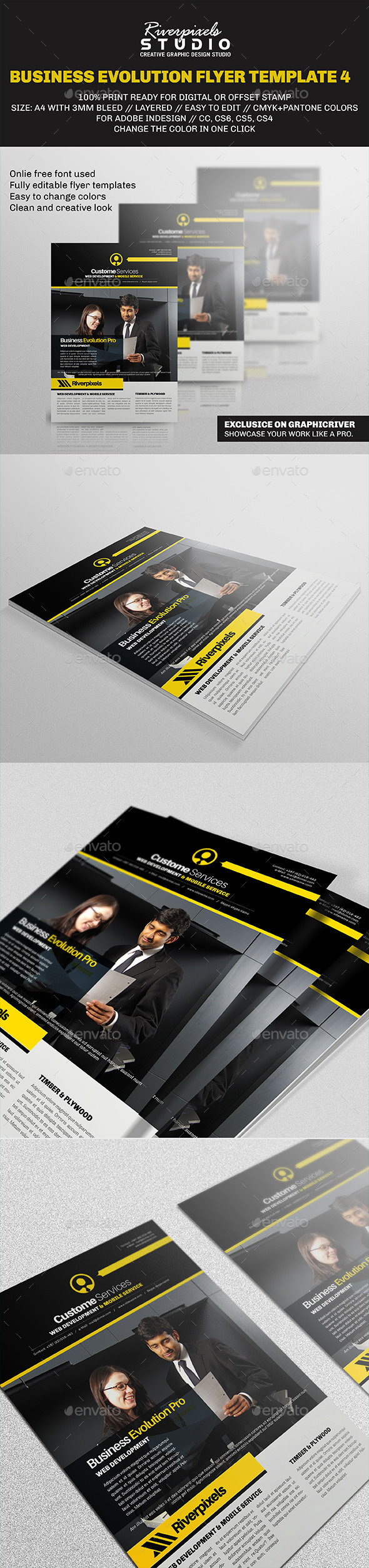 Business Evolution Flyer Template IV (Corporate)