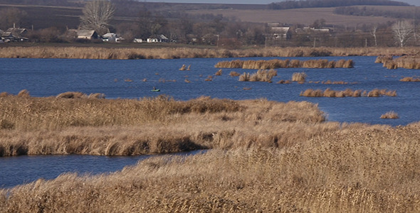 VideoHive Reeds on Lake 9693835 VideoHive Reeds on Lake 9693835