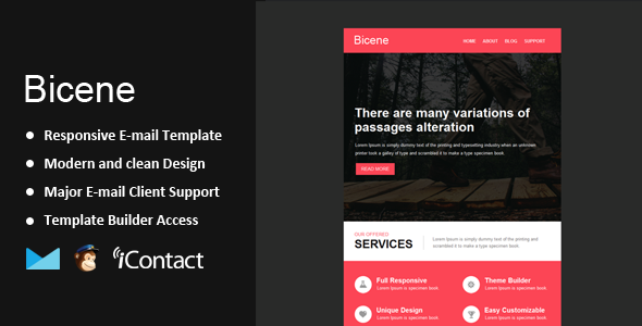 bicene - responsive email + themebuilder access 