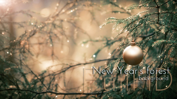 VideoHive New Year s Sphere in Forest 9695978 VideoHive New Year s Sphere in Forest 9695978