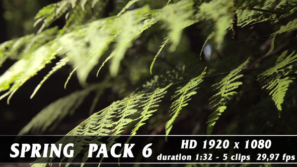 VideoHive Spring Pack 6 9696317 VideoHive Spring Pack 6 9696317