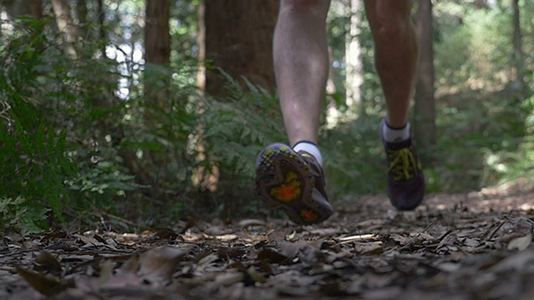 Running in the Rain Forest Running in the Rain Forest