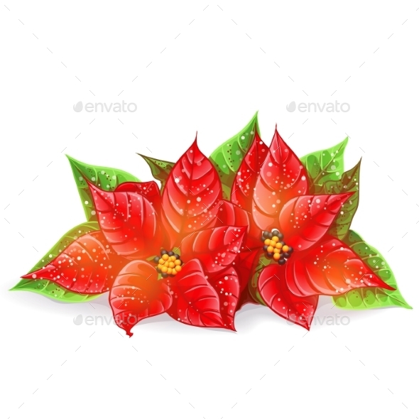 GraphicRiver Christmas Flowers 9702892 GraphicRiver Christmas Flowers 9702892