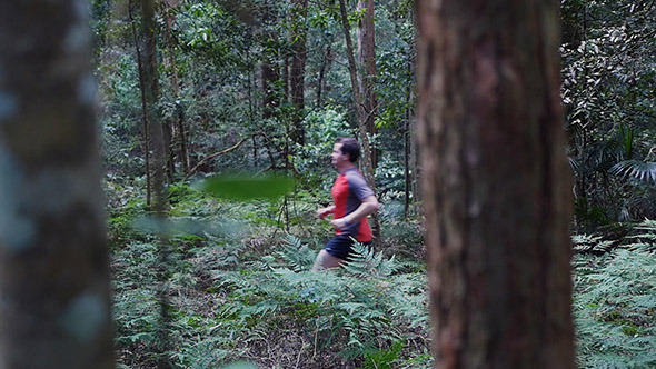 VideoHive Running Through The Forest 9705526 VideoHive Running Through The Forest 9705526