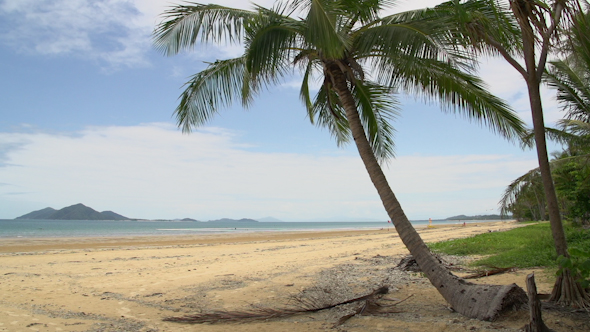 VideoHive Mission Beach With Palm Tree And Dunk Island At The Background 9706017 VideoHive Mission Beach With Palm Tree And Dunk Island At The Background 9706017
