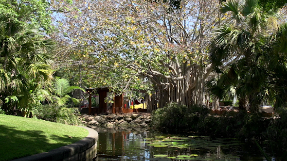 VideoHive South Bank Parklands In Brisbane 9706104 VideoHive South Bank Parklands In Brisbane 9706104