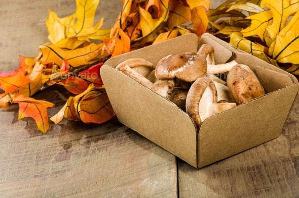 Box of fresh Portobella mushrooms with leaves