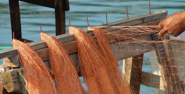 VideoHive Fishnets Fishing Lines 9708432 VideoHive Fishnets Fishing Lines 9708432