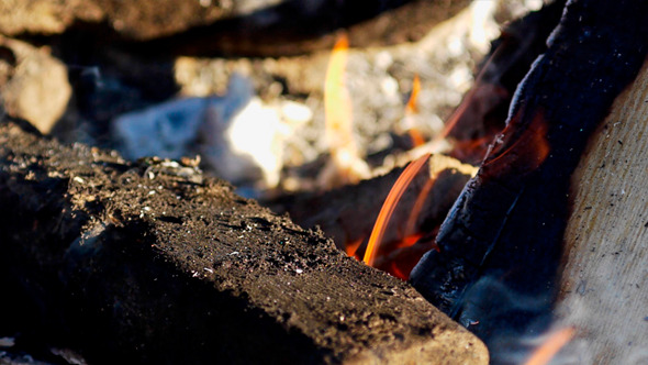 VideoHive Campfire 9711792 VideoHive Campfire 9711792