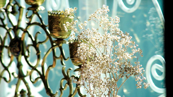 VideoHive White Flowers In A Vase 9711841 VideoHive White Flowers In A Vase 9711841