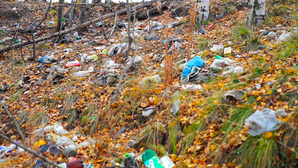 VideoHive Bottles Plastic Bags And Other Garbage In Forest 9711880 VideoHive Bottles Plastic Bags And Other Garbage In Forest 9711880