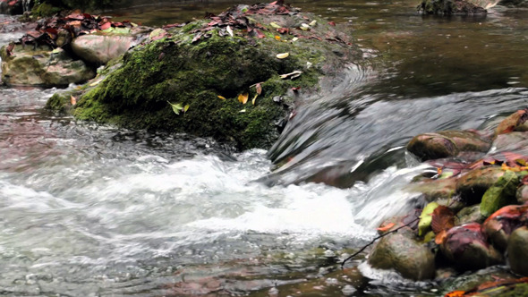 VideoHive Fresh Creek Cascade in Autumn 9713329 VideoHive Fresh Creek Cascade in Autumn 9713329