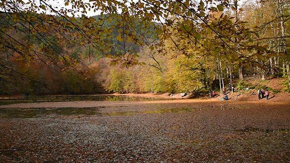 VideoHive Beautiful Lake at The Autumn 1 9715191 VideoHive Beautiful Lake at The Autumn 1 9715191