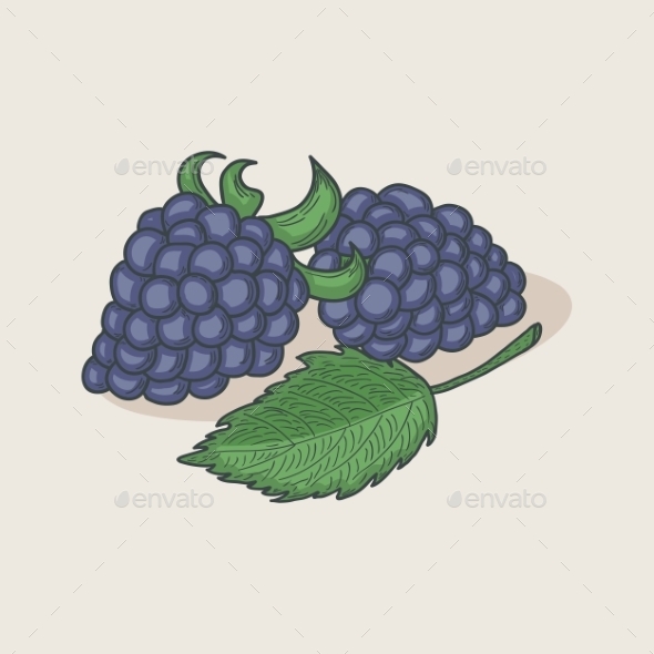 Blackberries and Leaf (Food)