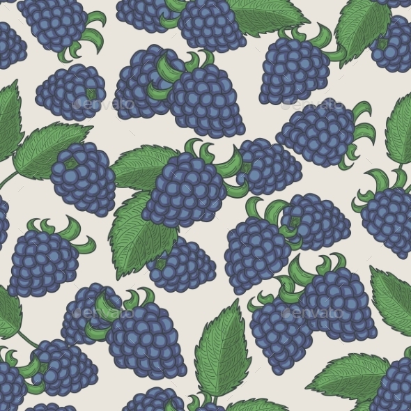 Blackberries Pattern (Backgrounds)