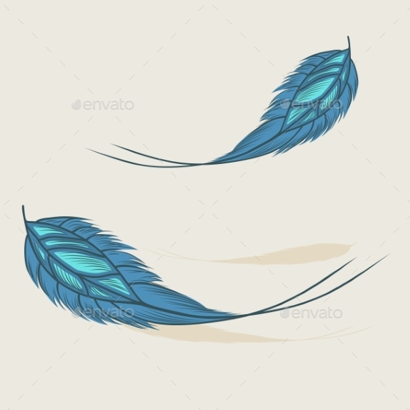 Feathers (Objects)