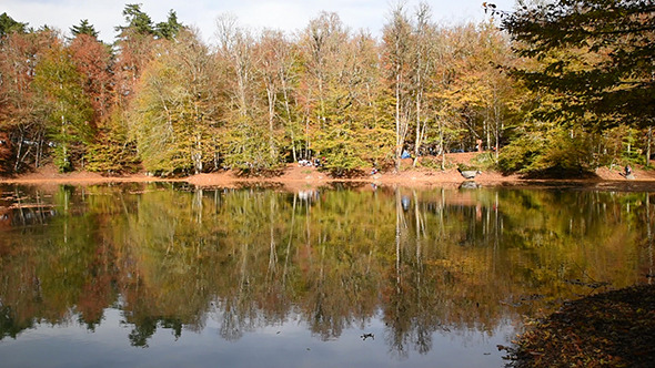 VideoHive Beautiful Lake at The Autumn 3 9721171 VideoHive Beautiful Lake at The Autumn 3 9721171