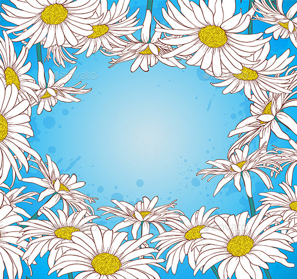 Chamomile on a Blue Background (Flowers & Plants)