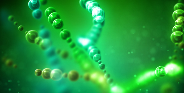 Molecule Molecule