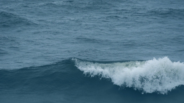 Waves Waves