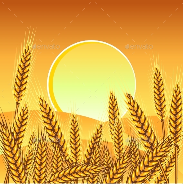 GraphicRiver Background with Ripe Yellow Wheat Ears 9735061 GraphicRiver Background with Ripe Yellow Wheat Ears 9735061