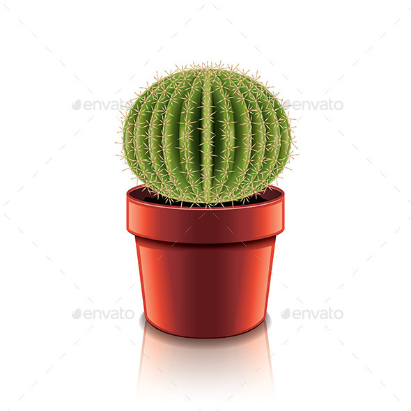 GraphicRiver Cactus 9738281 GraphicRiver Cactus 9738281