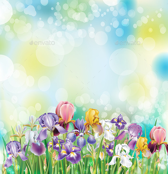 GraphicRiver Background with Iris Flowers 9738987 GraphicRiver Background with Iris Flowers 9738987