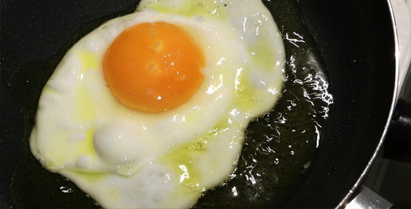VideoHive Cooking Egg 2 9740986 VideoHive Cooking Egg 2 9740986